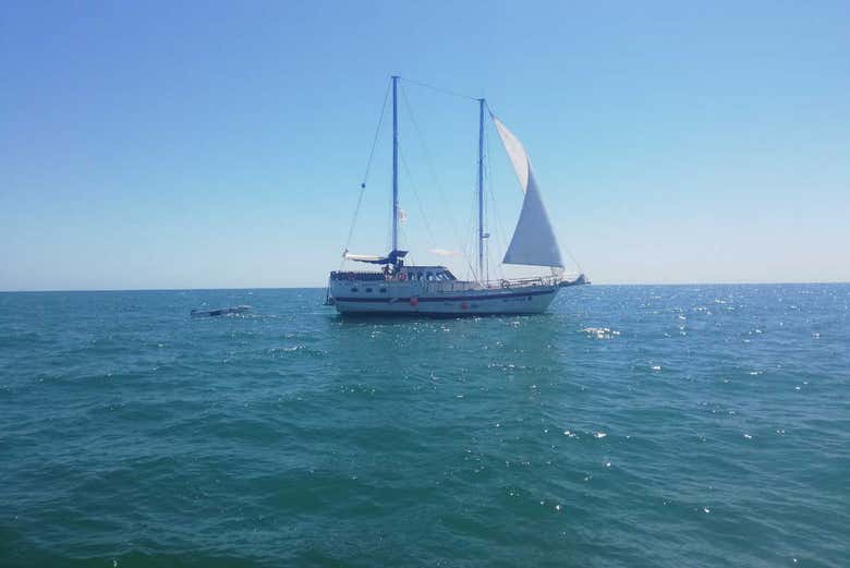 Navigando sul Mar Nero