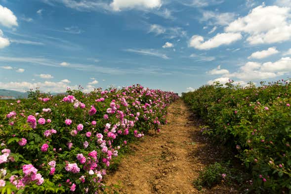 Excursión a Shipka y Kazanlak