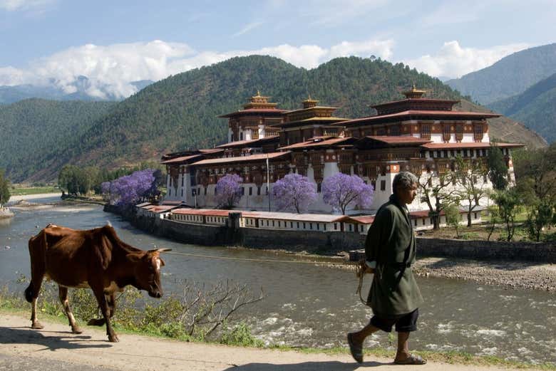 Welcome to Punakha