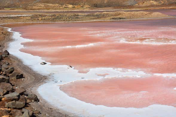 Tour pelas salinas de Pedra de Lume e Santa Maria