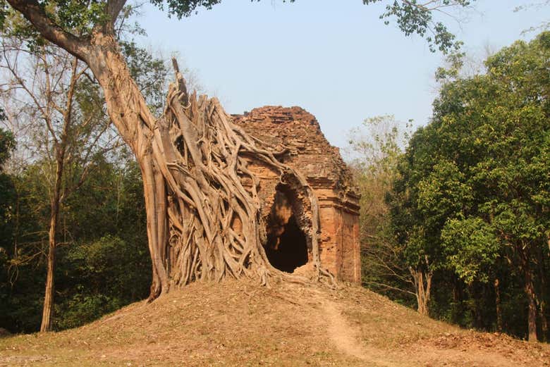 Templo rodeado por las raíces de un árbol