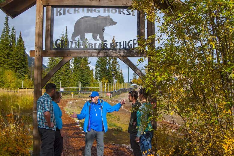 Refugio de osos grizzly