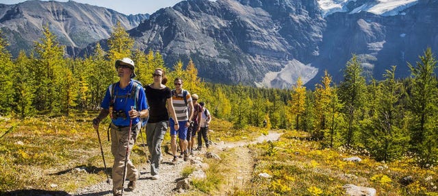 Hiking Tours in Banff