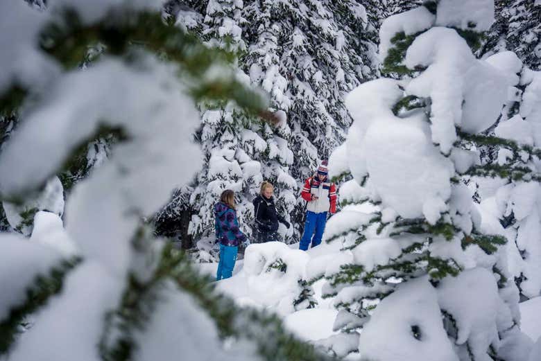 Passeio de raquetes de neve nas Montanhas Rochosas