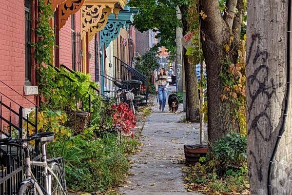 Plateau Mont-Royal & Mile End Guided Tour, Montreal - Civitatis