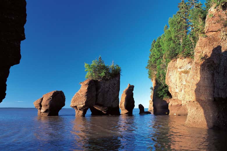 Reversing Falls Rapids Sightseeing Jet Boat Tour from Saint John, St ...