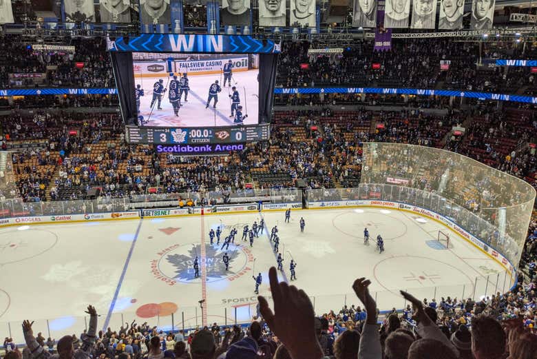 Pista de los Toronto Maple Leafs