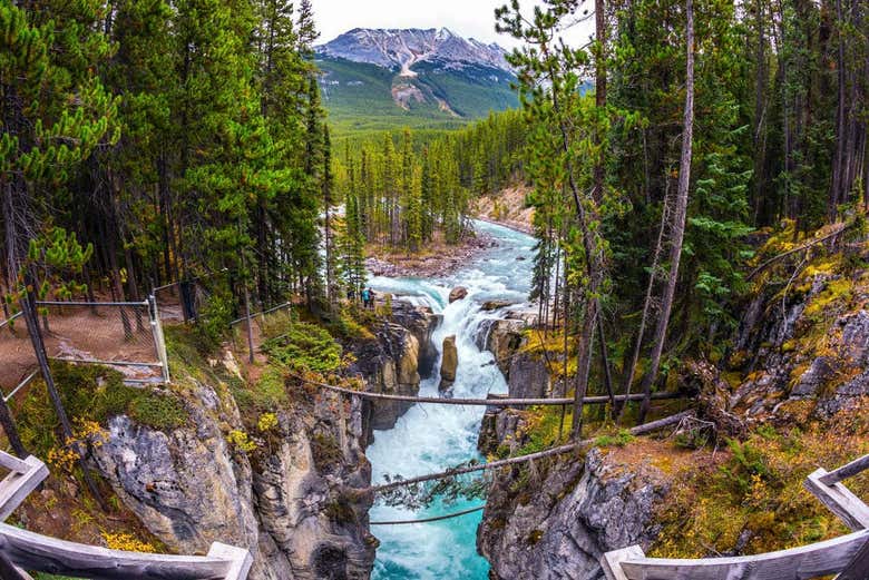 Jasper National Park