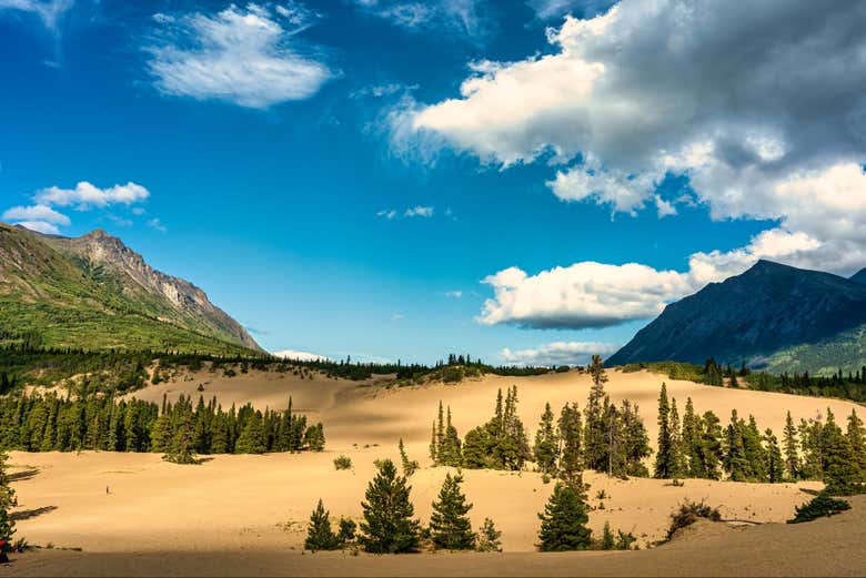 Emerald Lake + Carcross Desert Excursion Whitehorse - Civitatis