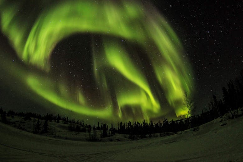 Tour da aurora boreal por Yellowknife - Reserve em  Brasil