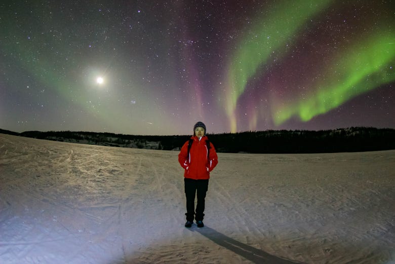 Tour da aurora boreal por Yellowknife - Reserve em