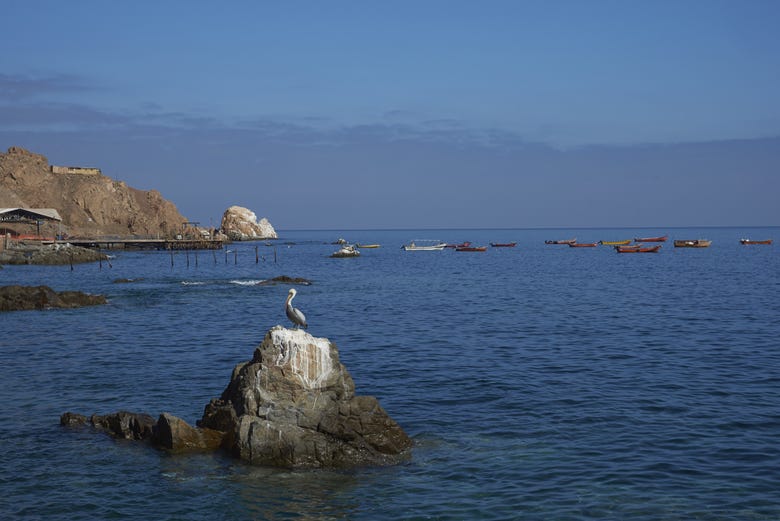 Coastal views in Pisague