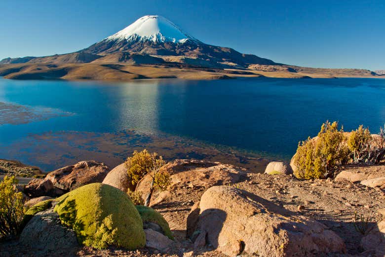 Panoramic view of Lake Chungará