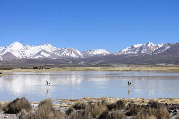 Tour de 6 dias pela região comunitária Aymara