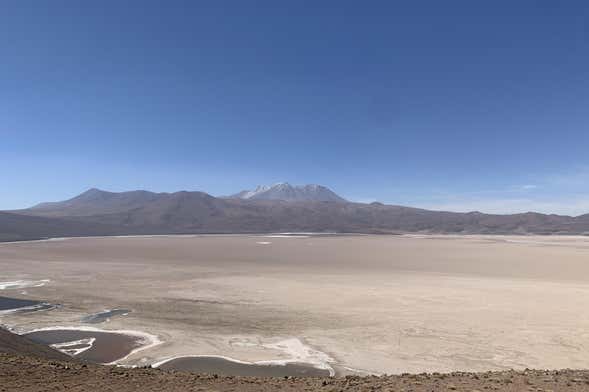 Ollagüe + Alto del Loa Salt Flats Private Tour