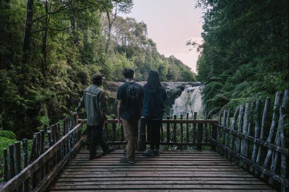 Excursão ao Parque Tepuhueico