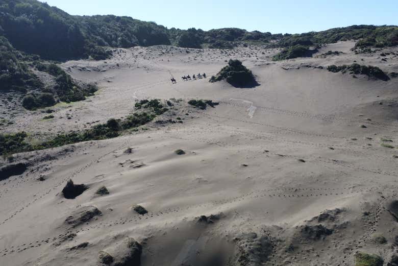 Dunes at Tricolor Beach