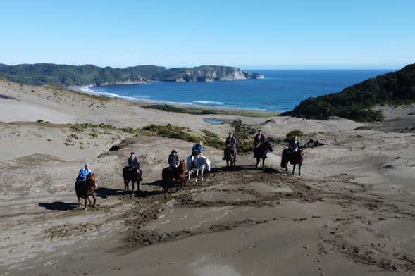 Tepuhueico Park Horse Riding