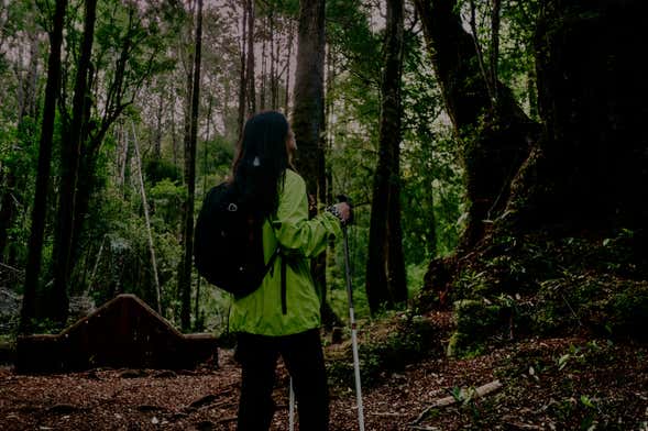 Senderismo nocturno por el Parque Tepuhueico