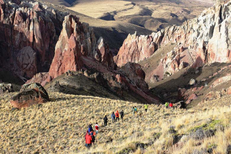 Walk through the Patagonian wilderness