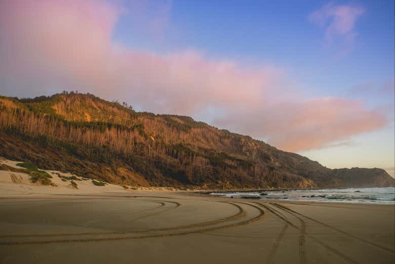 Playa de Arauco