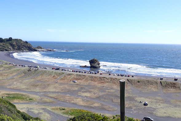 Gran Concepción Coastal Tour