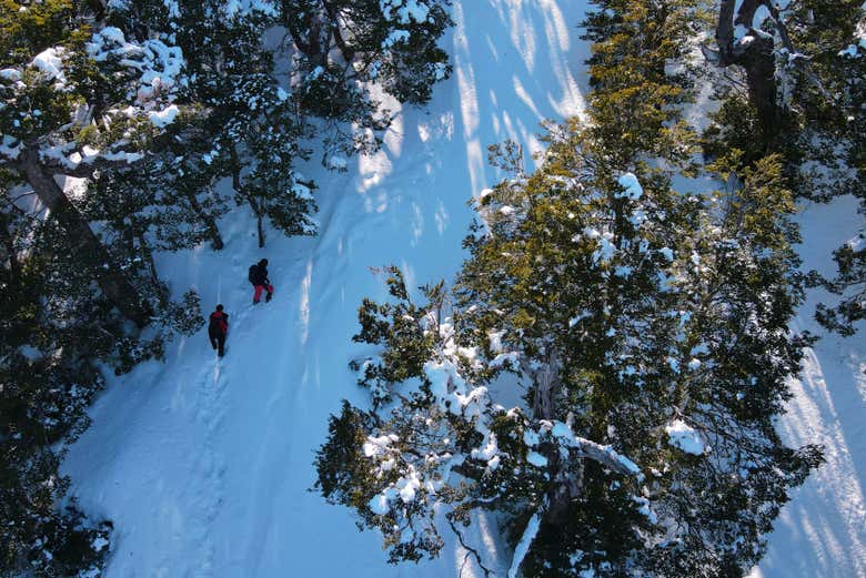 Ascendiendo por el volcán Hornopirén