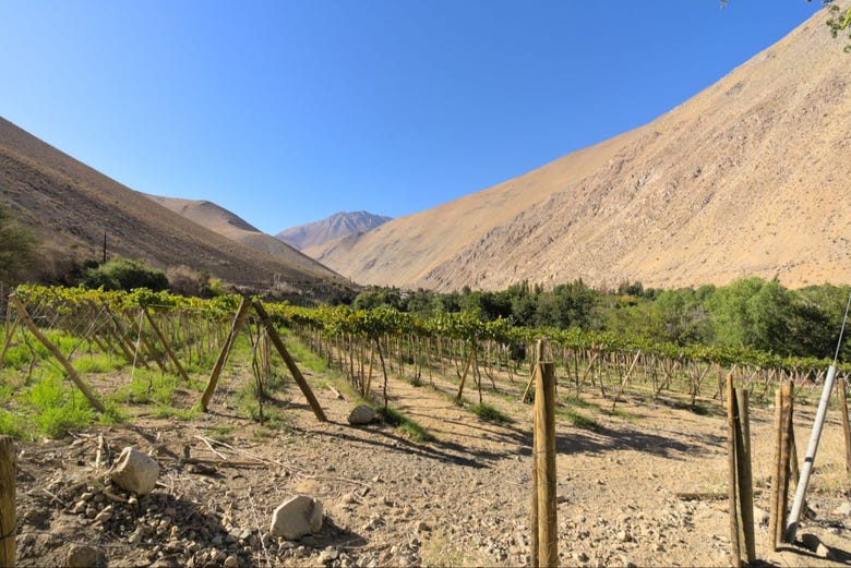 El paisaje árido dell Valle del Elqui