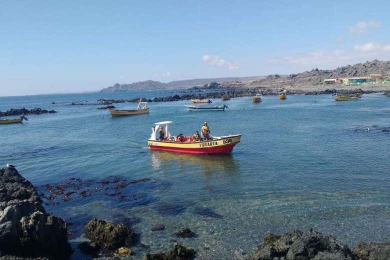 Una embarcación cerca de la costa de Chañaral de Aceituno