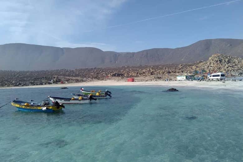 Les plages de la côte entre La Serena et Coquimbo