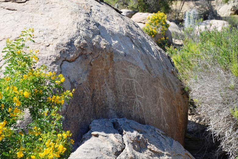 See carvings from thousands of years ago!