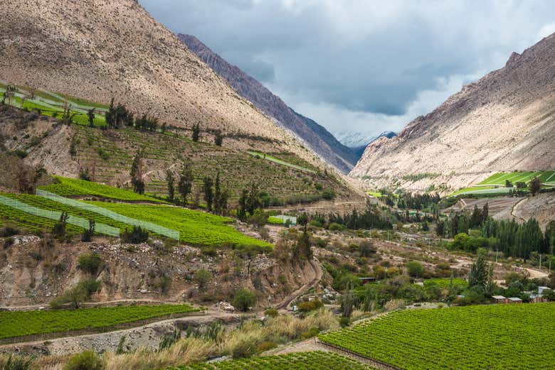 Panoramic view of the Elqui Valley