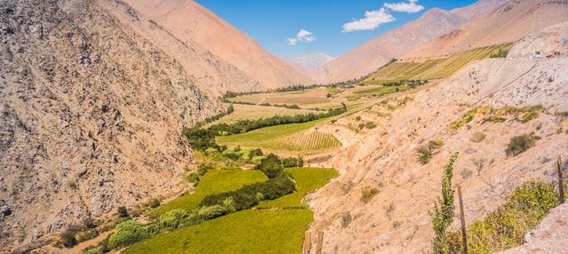 Tour por el valle del Elqui