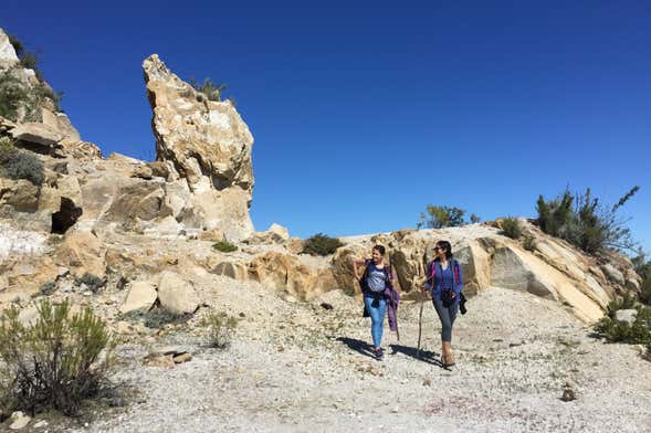 La Campana National Park Hiking Tour