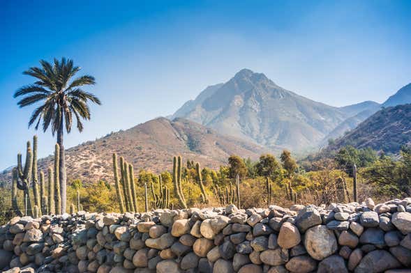 Tour por el Parque Nacional La Campana con 2 noches de alojamiento