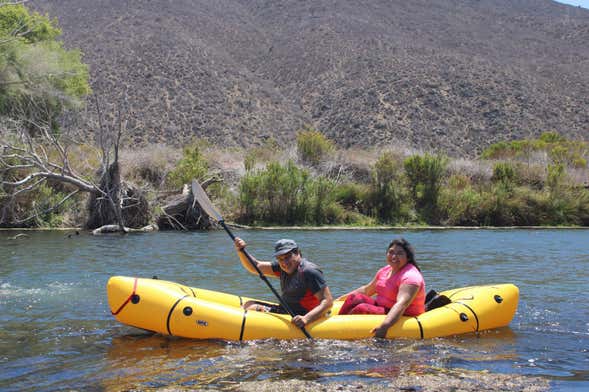 Birdwatching + Kayaking Tour