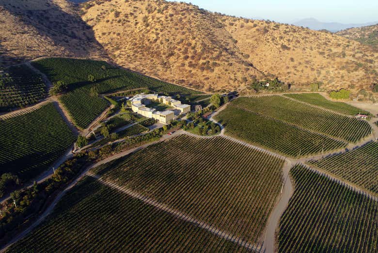 Panoramic view of the Viña Haras de Pirque Winery