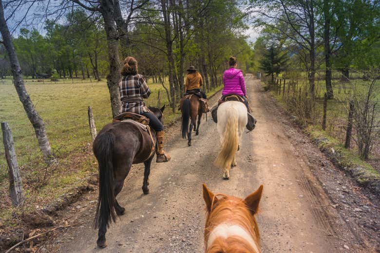 Horse ride through the Villarrica National Reserve