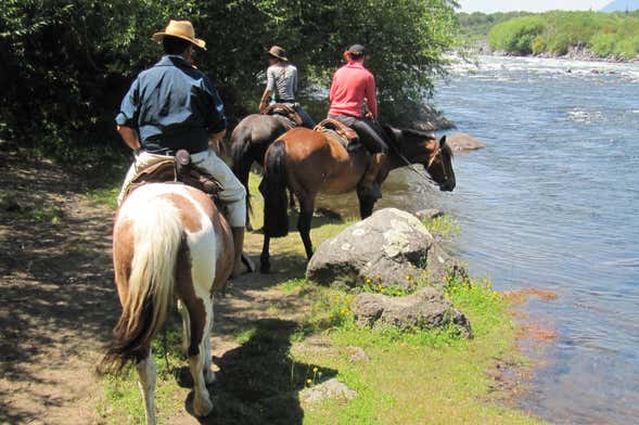 Paseo a caballo por la Reserva Nacional de Villarrica