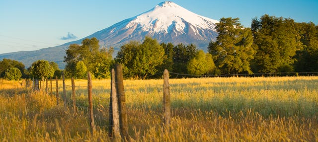 Mapuche Culture Tour from Pucón - Book Online at Civitatis.com