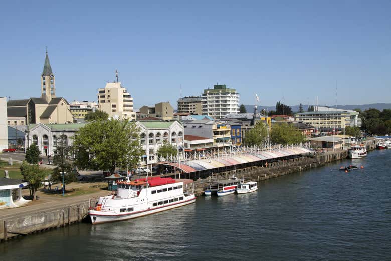 Vista panorámica de Valdivia