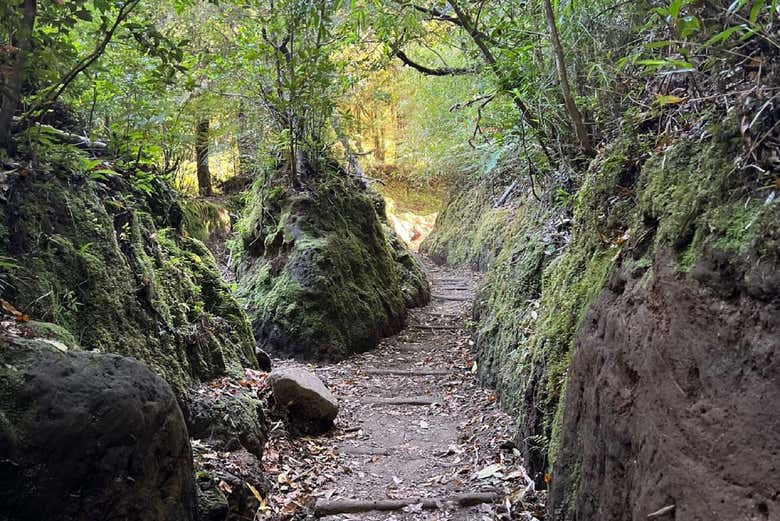 Sendero de nuestra excursión a la cascada en Cochamó