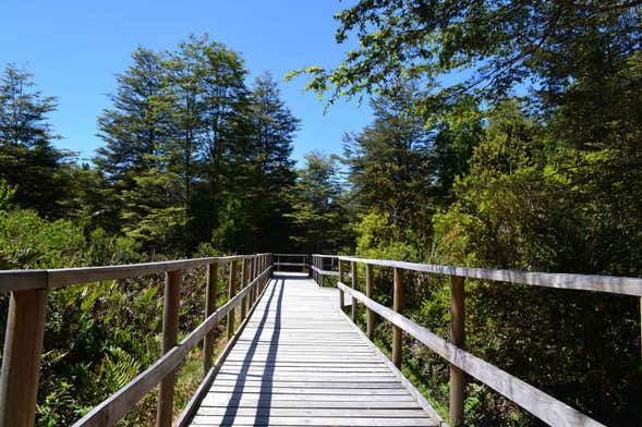 Puerto Varas, Nueva Braunau & Lahuen Ñadi Tour