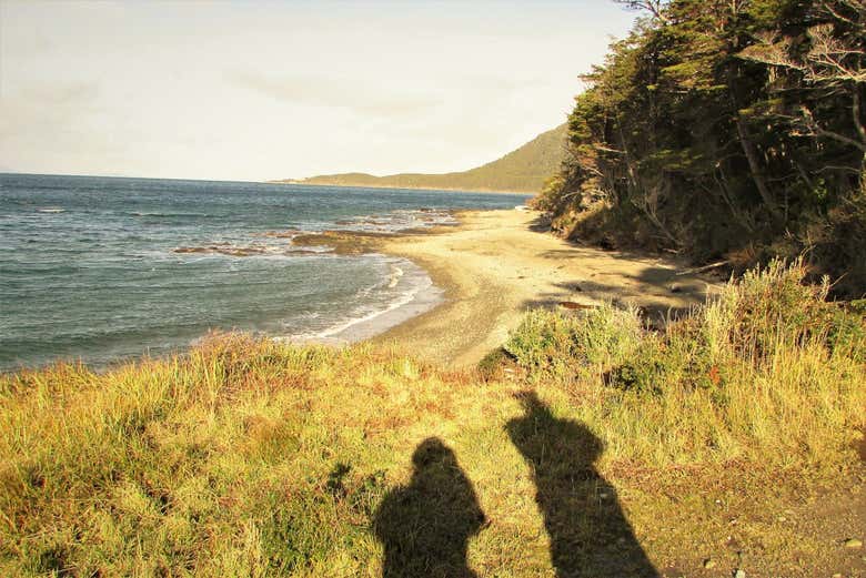 admiring the landscapes of punta arbol