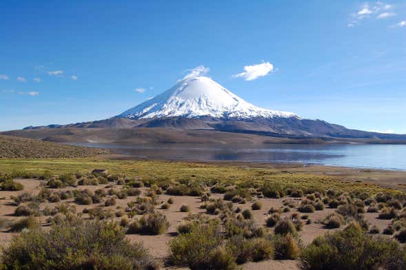 Lauca National Park Day Trip