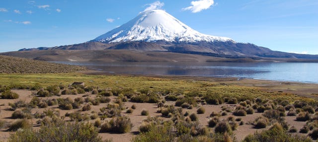 Lauca National Park Day Trip