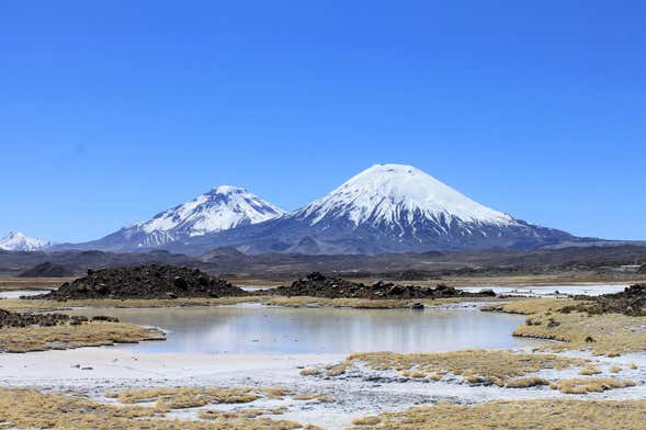 Tour de 3 días por Lauca