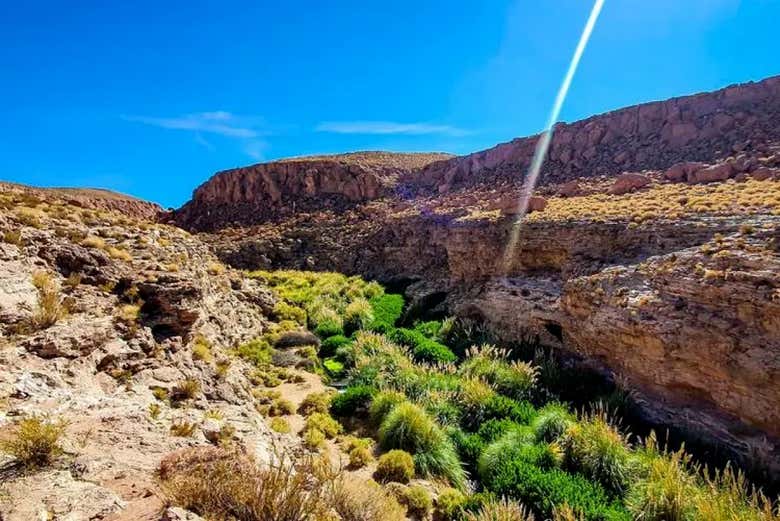 El paisaje de Purilibre