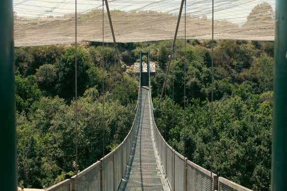 Excursión a Pomaire y el Parque Tricao