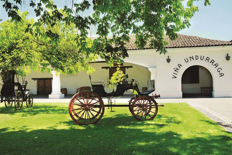 In the grounds of the historic Undurraga Winery